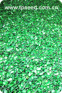 Seeds