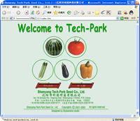 Second edition of website