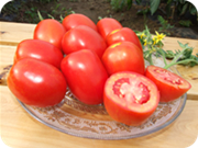 Plant disease controls