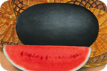 General - Watermelon Seed