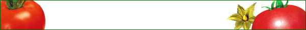 Shenyang Tech-Park Seed Co., Ltd.