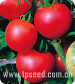 Pink Fruits type